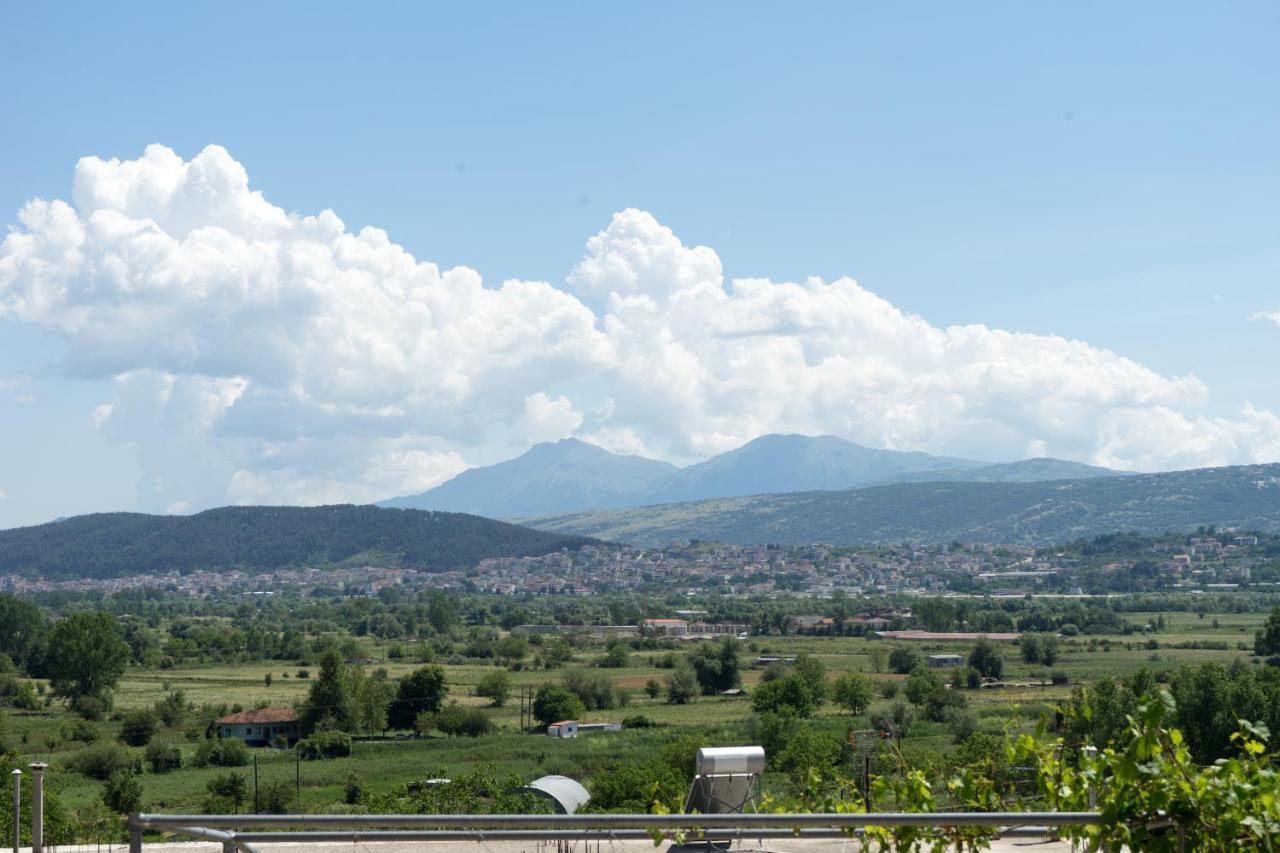 Valena'S House Appartement Ioannina Buitenkant foto